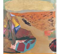 Michael Nau Michael Nau & the Mighty Thread (Vinyl LP)