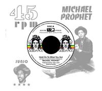Michael Prophet Hold On to What You Got (Vinyl LP) 7" Single