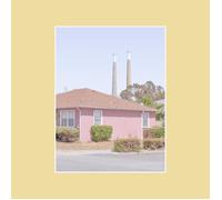 Michael Scott Dawson The Tinnitus Chorus (Vinyl LP) 12" Album