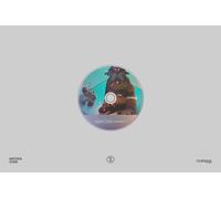 Michael Staple Video Game LoFi: Donkey Kong Country 2 (CD)