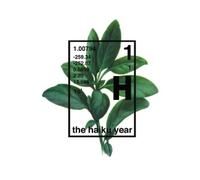Michael Stipe Douglas Martin Grant Lee Phillips Tom G The Haiku Year (Tascabile)