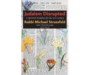 Michael Strassfeld Judaism Disrupted (Copertina rigida)