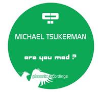 Michael Tsukerman - Are You Mad