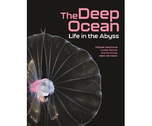 Michael Vecchione Hans van Haren Louise Allcoc The Deep Ocean (Copertina rigida)