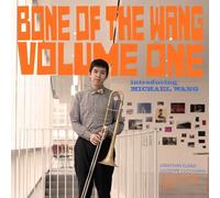 MICHAEL WANG - BONE OF THE WANG VOLUME 1 - CD - F72z