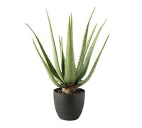 MichaelNoll Pianta artificiale di aloe vera, pianta artificiale, decorazione in vaso nero, molto realistica, verde (45 cm - MN-KP-2218)