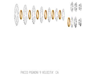 Miche Cassetta Primato 9s Campagnolo Silver