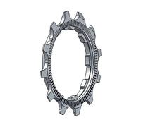 Miche Pignone Campagnolo 8-9s First Silver