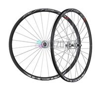 Miche Pistard-Tubolari per Pista, Colore: Argento Unisex-Adult, Schwarz. für Schlauchreifen, 15-622 (28´´)
