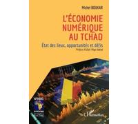 Michel Boukar L'économie numérique au Tchad (Tascabile) Afriques En Mutations