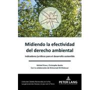 Michel Prieur Christophe Bastin Midiendo la efectividad del derech (Tascabile)