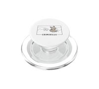 Michelangelo Creation of Adam Chincillà a pelo lungo PopSockets PopGrip per MagSafe