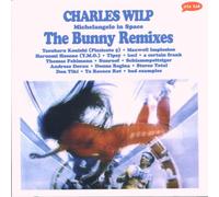 Michelangelo in Space: The Bunny Remixes - Various Artists (Audio cd)