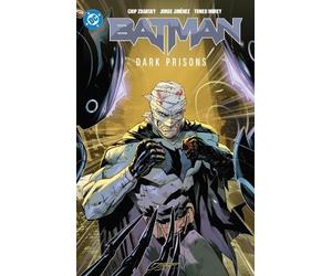 Michele Bandini Chip Zdarksy Batman Vol. 4: Dark Prisons (Tascabile)