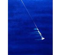 Michele Sambin. Performance tra musica, pittura e video