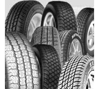 Michelin AGILIS X-ICE NORTH (195/75 R16 107/105R)