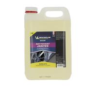 MICHELIN EXPERT 009153 - Detergente per cerchioni e copricerchi. Sgrassatore Ruote Auto, 5 Litri