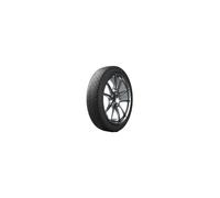 Pilot Alpin 5 ZP - MICHELIN - 225/50/17