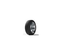 MICHELIN 245/45 R18 P.ALPIN5 XL TL 100V WINTER CB68
