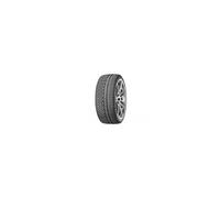 MICHELIN 265/40 R19 P.ALPINPA4(N0)TL 98V WINTER EC71