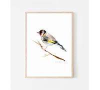 Michelle Dujardin Stampa A4 di un Putterje