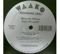Michelle Wilson / Key Of Life