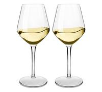 Michley Infrangibile Tritan Calici da Vino Rosso Plastica Dura, Bicchiere Vino da Campeggio da Viaggio BPA-Libera, 440 Ml (15 Oz) Set di 2