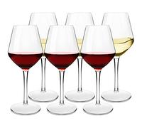 Michley Infrangibile Tritan Calici da Vino Rosso Plastica Dura, Bicchiere Vino da Campeggio da Viaggio BPA-Libera, 440 Ml (15 Oz) Set di 6