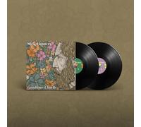 Mick Flannery - Goodtime Charlie