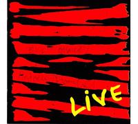 Mick Pini Band - Ain'T No Foolin'