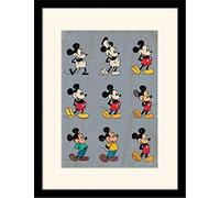 Mickey Mouse (EVOLUTION), Multicolour, 30X40