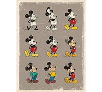 Mickey Mouse Topolino Evolution - Tela in poliestere, multicolore, 40 x 50 cm