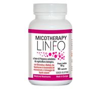 AVD REFORM micotherapy linfo 90 capsule - integratore drenante