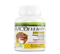 MICOTHERAPY MAITAKE 90 CAPSULE