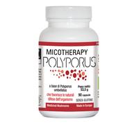 MICOTHERAPY Polyporus 90CpsAVD