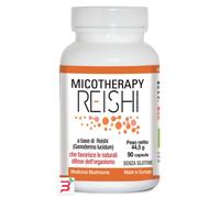MICOTHERAPY REISHI 30 CAPSULE