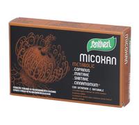 SANTIVERI SA MICOXAN METABOLIC 40CPS