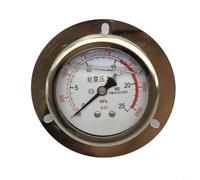 Micpointik Manometro sismico a bordo assiale YN-60ZT in rame e acciaio inossidabile con attacco a flangia per misurazione idraulica e pressione dell'aria industriale 60 mm argento (0-25MPA)