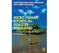 Micro Human Efforts in Disaster Rebuilding: Cultural and Contextual Lessons for Resilience