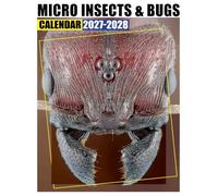 Micro Insects & Bugs Calendar 2027 - 2028: Monthly Planner Jan 2027 to Dec 2028 with US Holidays for Home Office School and Family