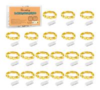 Micro LED Luci Stringa 20 Pezzi 1M Filo di Rame con 10 LEDs Ghirlanda Luminosa