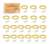 Micro LED Luci Stringa, 20 Pezzi 1M Filo di Rame con 10 LEDs, Ghirlanda Luminosa Lucine, Catena Luminosa Natale per Casa Interni e Esterni Feste Matrimonio Bottiglie Fai da te (Bianco caldo)