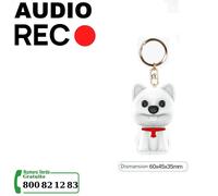 MINI REGISTRATORE VOCALE AUDIO DITTAFONO USB PROFESSIONALE ULTRASOTTILE 8GB MP3
