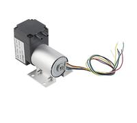 Micro pompa a vuoto Robusta resistenza alle alte basse temperature Pompa a membrana senza olio senza spazzole DC12V 10W per strumenti di campionamento per analisi di gas