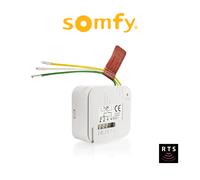 Micro ricevitore radio RTS Somfy per tapparelle