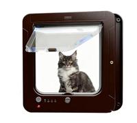 Microchip, gattaiola con 2 collari con sensore e telecomando, ingresso selettivo, porta per animali domestici con chiusura di sicurezza, apertura da 19 x 19 cm, per gatti e cani di piccola taglia