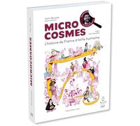 Microcosmes: L'histoire de France à taille humaine