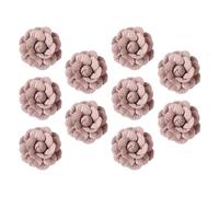 Microfibra Accessorio Floreale Camelia 10 Pezzi | Decorazioni Fai e Personalizzazione Tessile, Copertura Macchie e Riparazioni, Uso Creativo su Capi