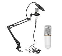 Microfono a condensatore, kit microfono a condensatore USB per notebook per PC desktop per computer(Bianco+argento)