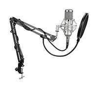 Microfono a condensatore professionale senza rumore di registrazione 3,5-XLR per computer, scheda audio dal vivo, karaoke (colore: argento)